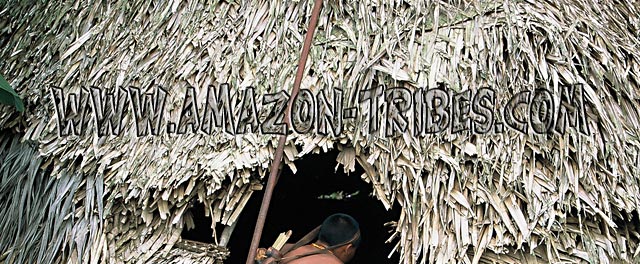 Uncontacted Tribe