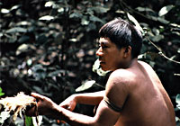 Korubo Head Bashers