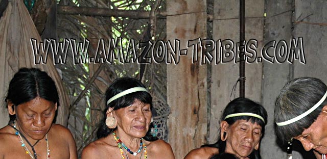 Amazon Indians Macaw