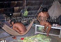 Amazon Natives Hammocks