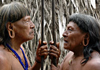 Amazon Tribal Warriors