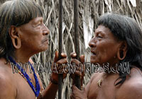 Amazon Tribal Warriors