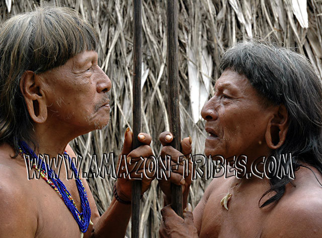 Amazon Tribal Warriors