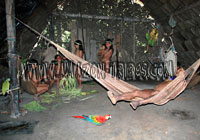 Amazon Tribe Maloka