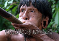 Amazonian Tribes Blowpipe