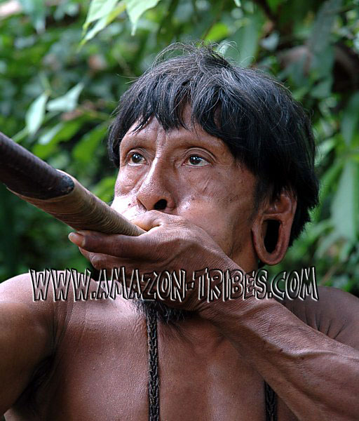 Amazonian Tribes Blowpipe
