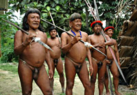 Huaorani Tribe Spears