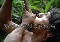 Indigenous People Hunting