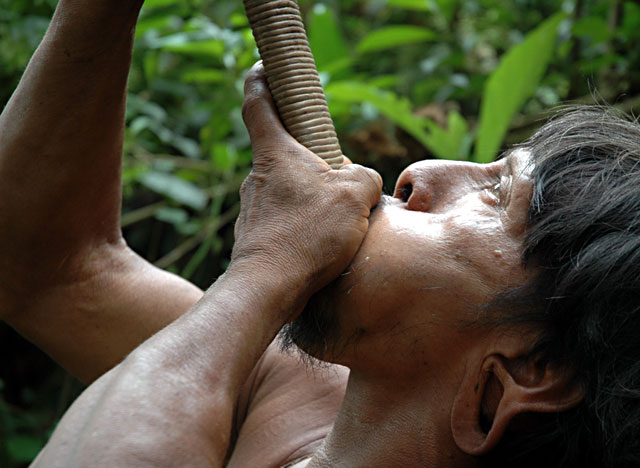 Indigenous People Hunting