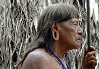 Native Tribe