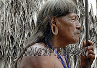Native Tribe
