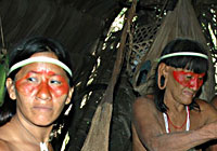 Natives Processing Chambira Fiber