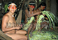 Natives Processing Chambira Fiber